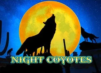 Night Coyotes